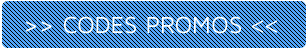 Liste des codes promos